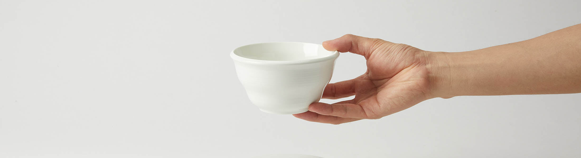 Rice Bowl